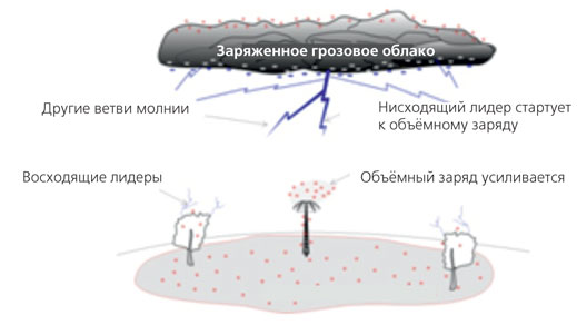 articles 17062013 27